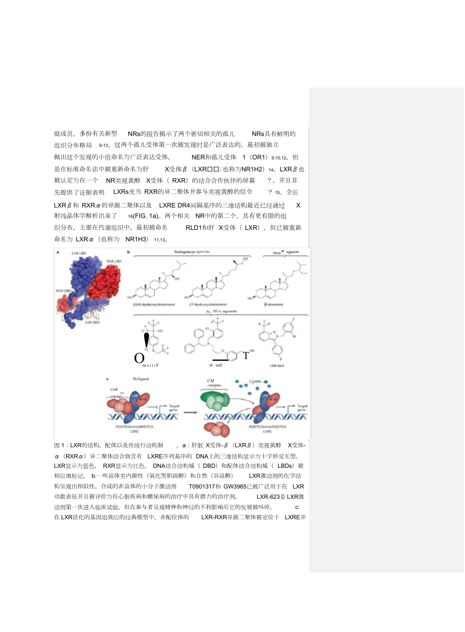 癌症的靶向肝X受体治疗(翻译).doc_第2页