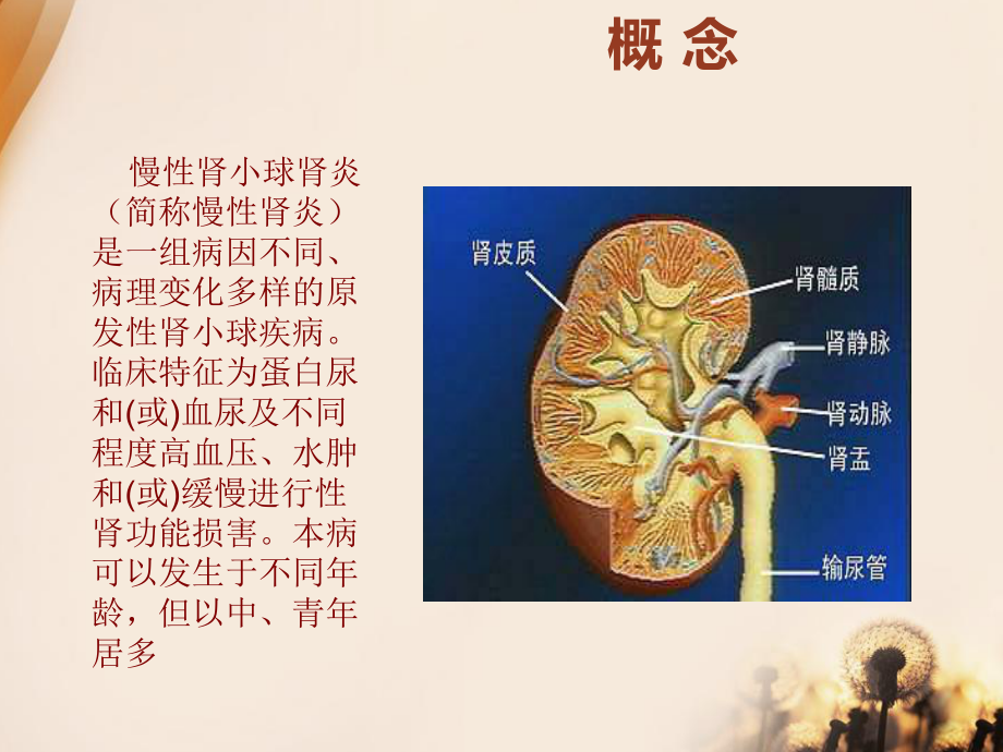 慢性肾炎患者的健康宣教ppt课件.ppt_第2页