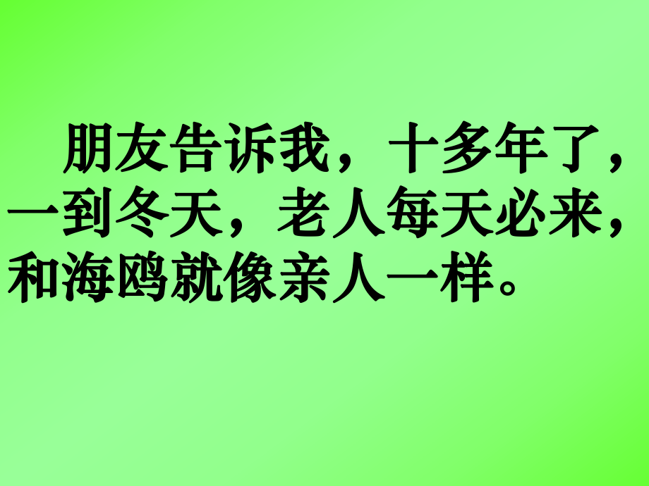 人教版语文六年级上册第七单元第21课《老人与海鸥》.ppt_第2页