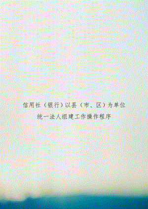 信用社（银行以县（市、区为单位统一法人组建工作操作程序.doc