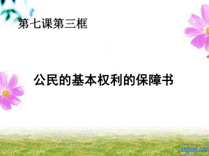 公民基本权利的保障书.ppt