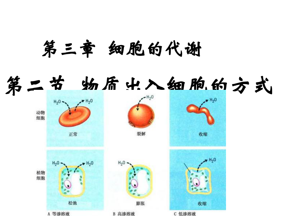 第三节物质出入细胞的方式1.ppt_第1页