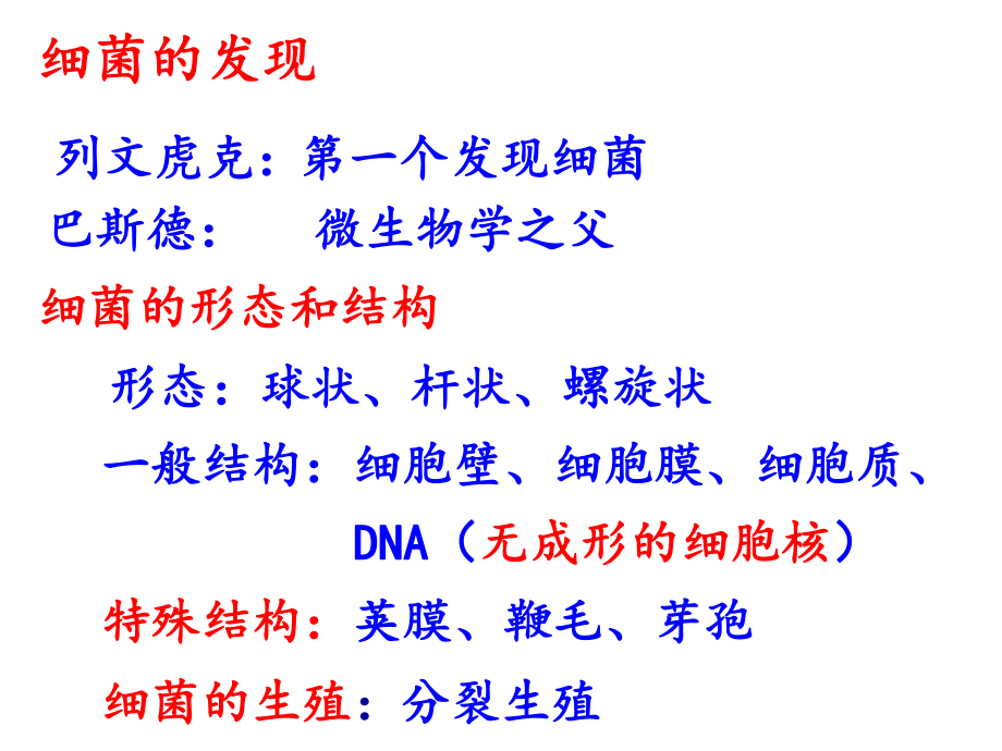 第三节真菌课件1.ppt_第2页