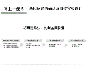 基因位置的确认及遗传实验设计ppt课件.ppt