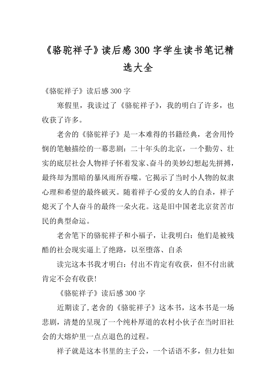 《骆驼祥子》读后感300字学生读书笔记精选大全例文.docx_第1页