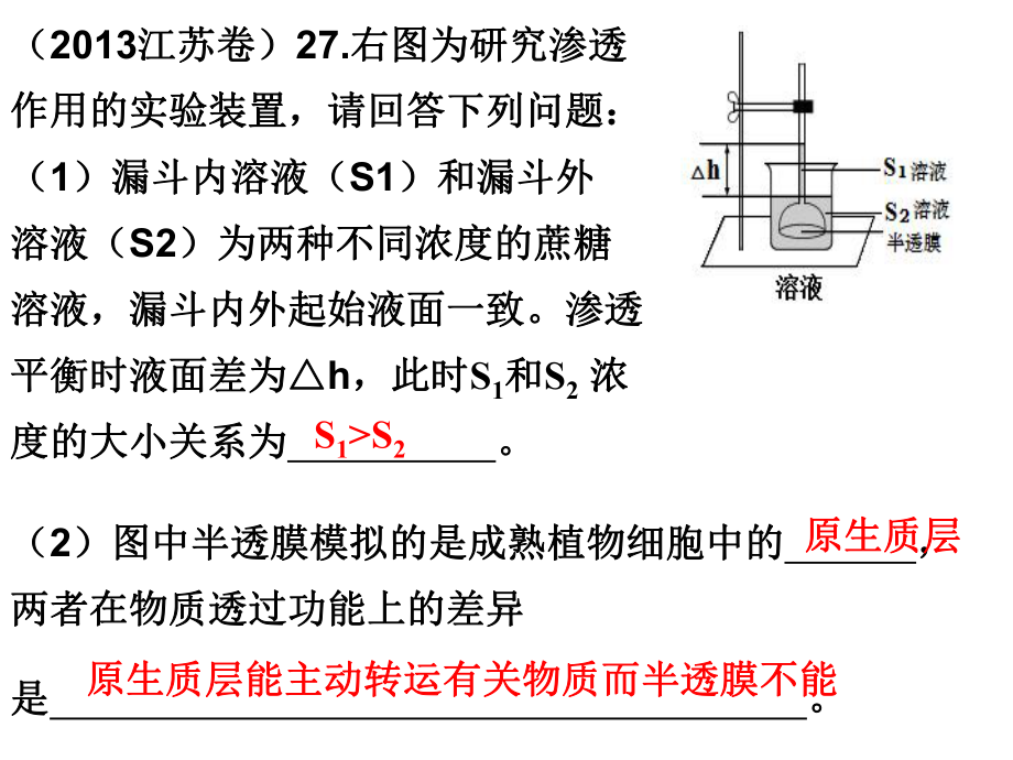 一轮复习物质跨膜运输的实例和方式.ppt_第2页