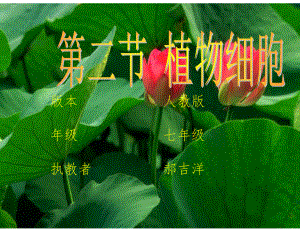 植物细胞课件2.ppt