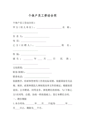 个体户员工劳动合同精品.docx