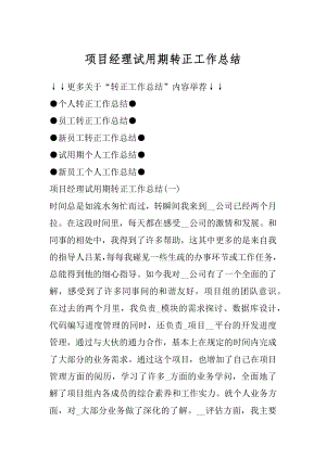 项目经理试用期转正工作总结优质.docx