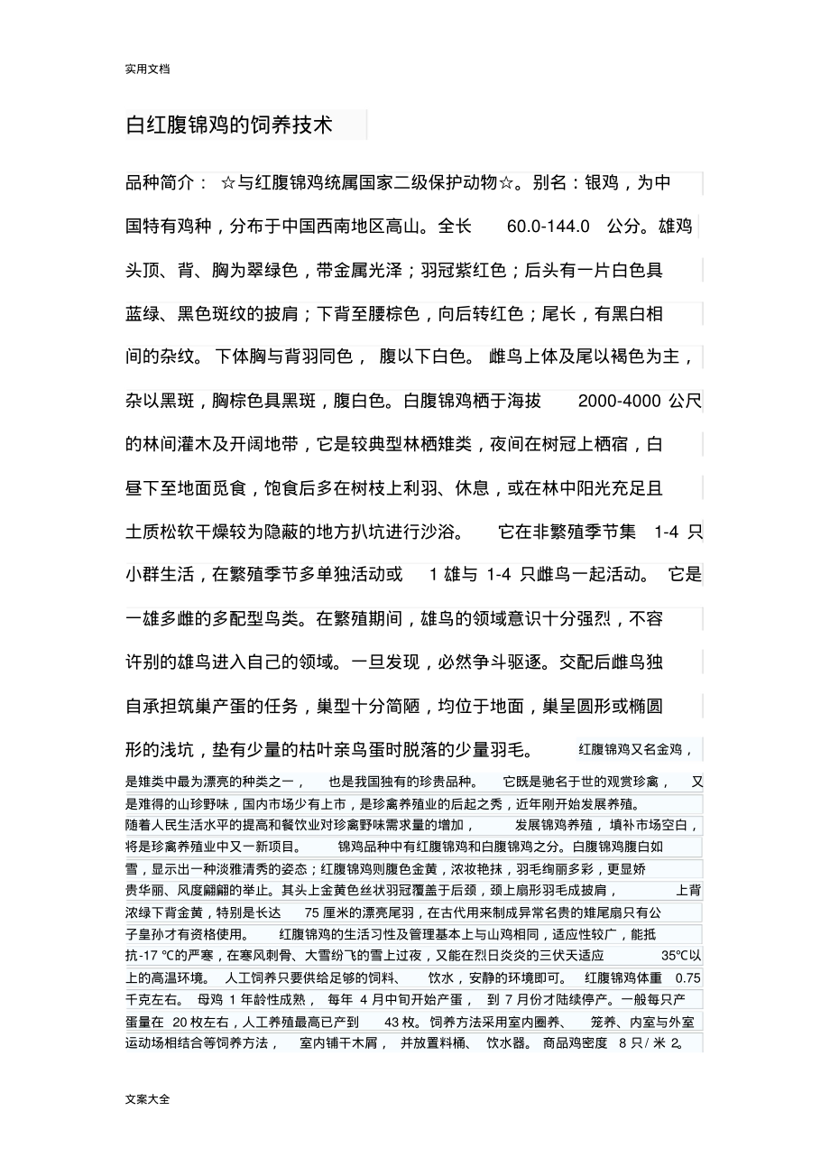 白红腹锦鸡地饲养技术.pdf_第1页