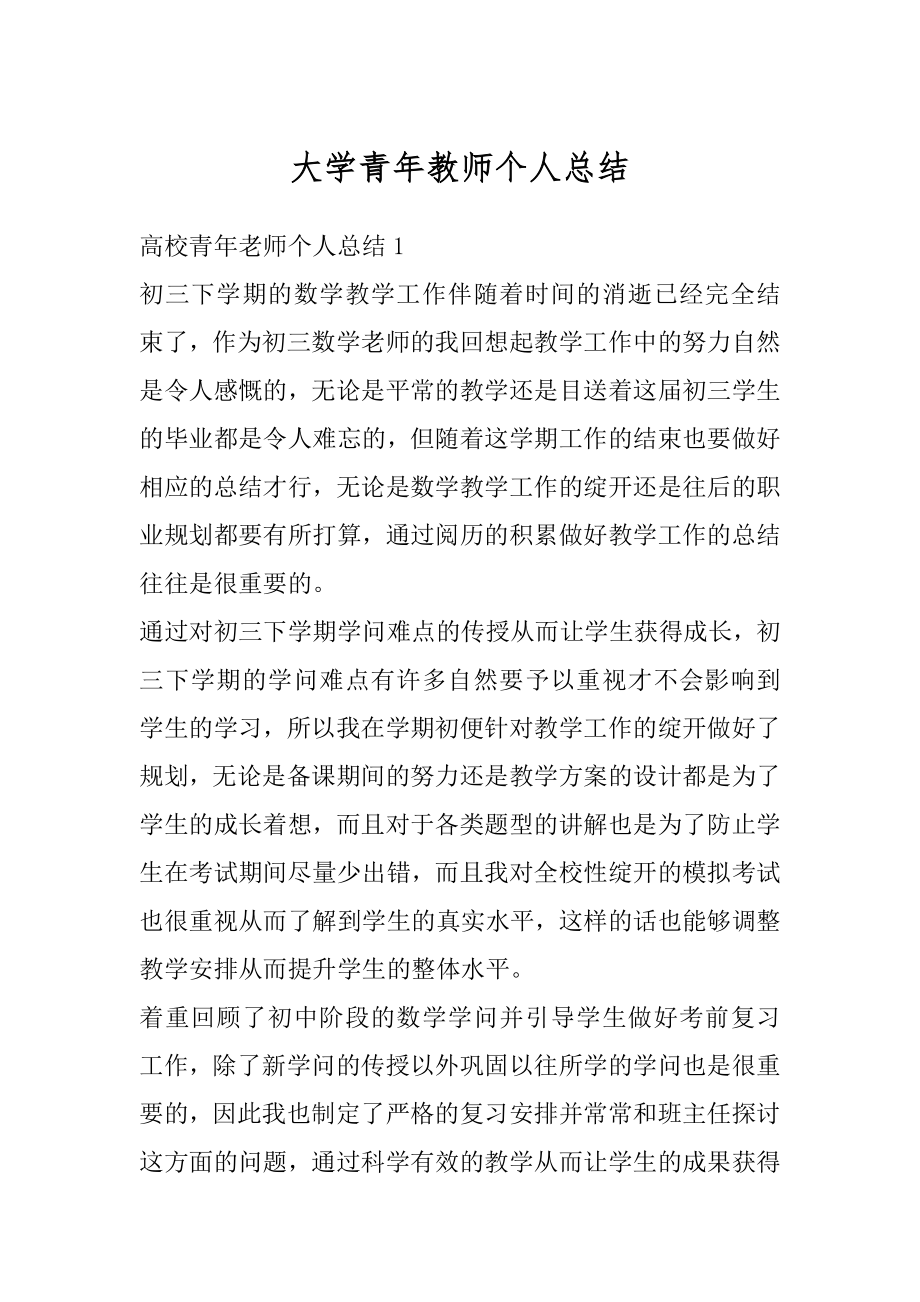 大学青年教师个人总结优质.docx_第1页