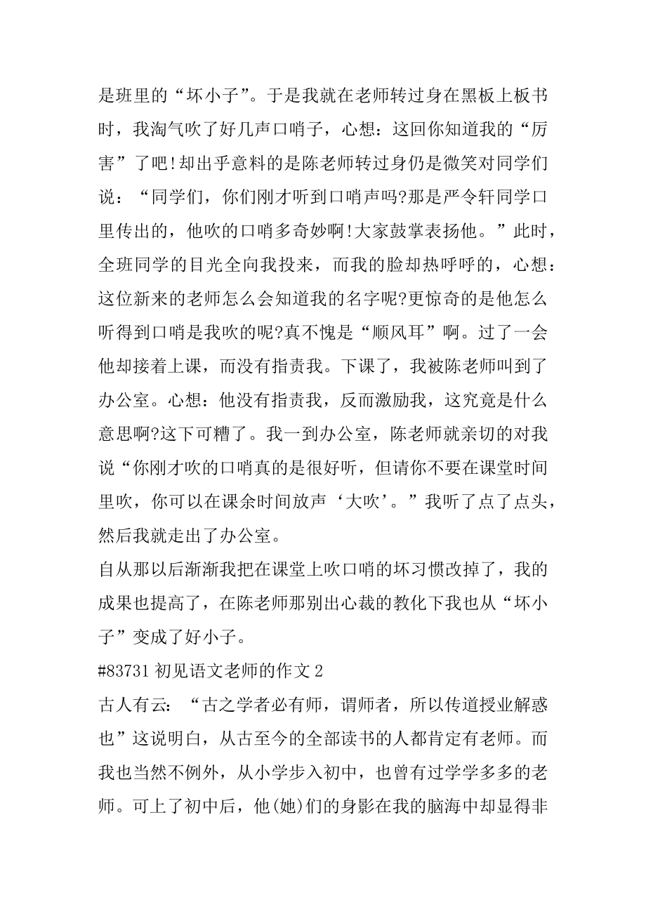 初见语文老师的作文精选.docx_第2页