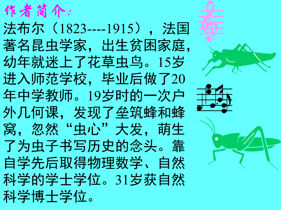 18课绿色蝈蝈.ppt_第2页