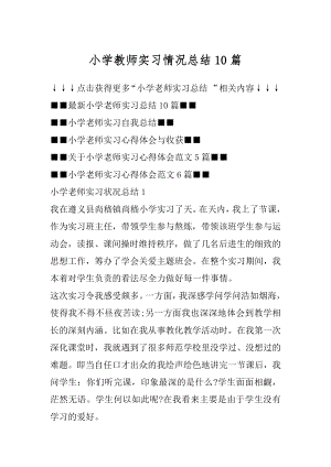 小学教师实习情况总结10篇精选.docx