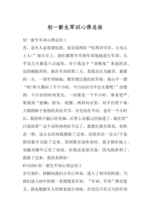 初一新生军训心得总结精编.docx