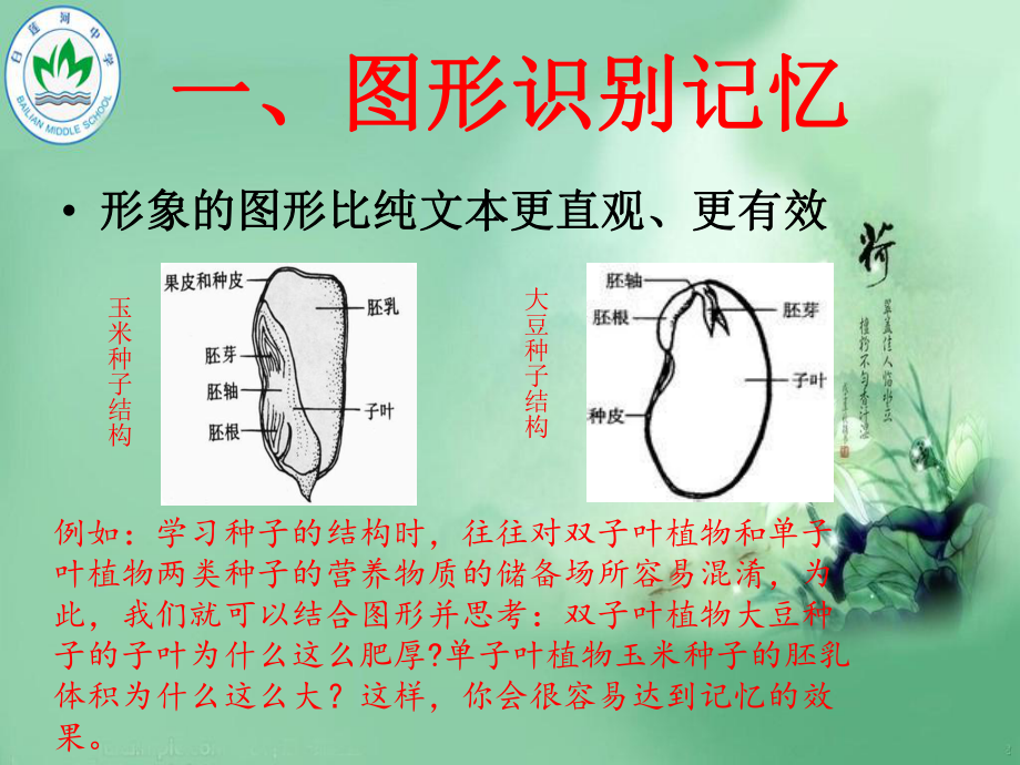 初中生物知识点记忆方法.ppt_第2页