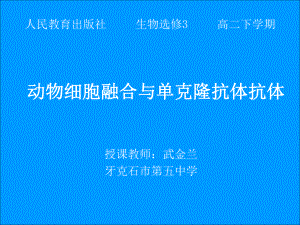 动物细胞融合与单克隆抗体的制备课件.ppt