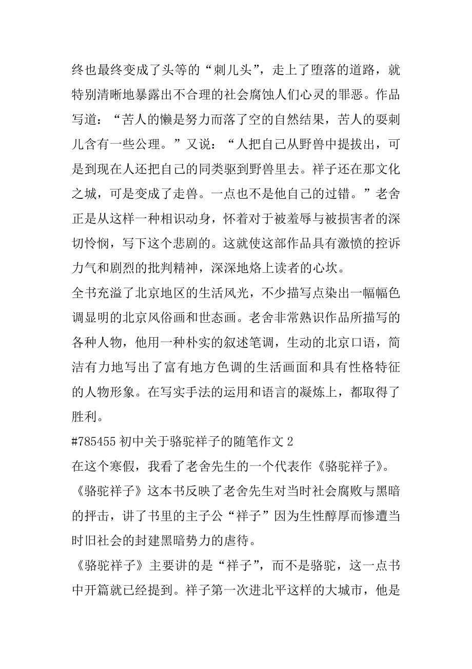 初中关于骆驼祥子的随笔作文汇编.docx_第2页