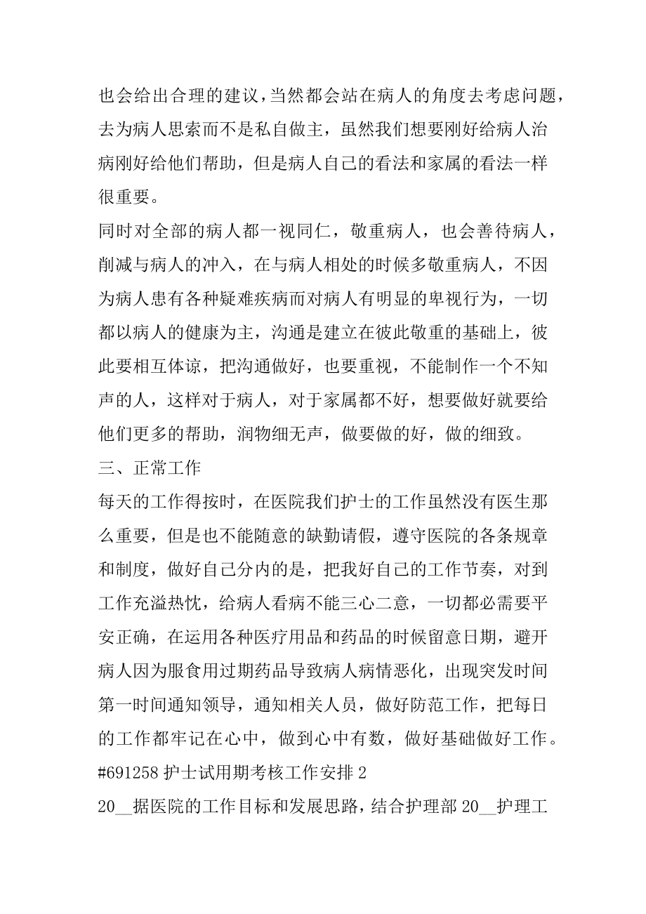 护士试用期考核工作计划优质.docx_第2页