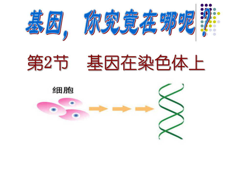 基因在染色体上(2011年公开课).ppt_第1页