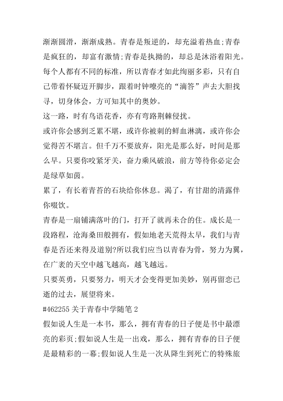 关于青春高中随笔汇编.docx_第2页