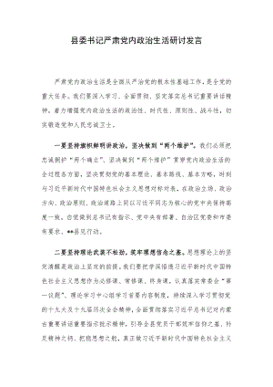 县委书记严肃党内政治生活研讨发言.docx