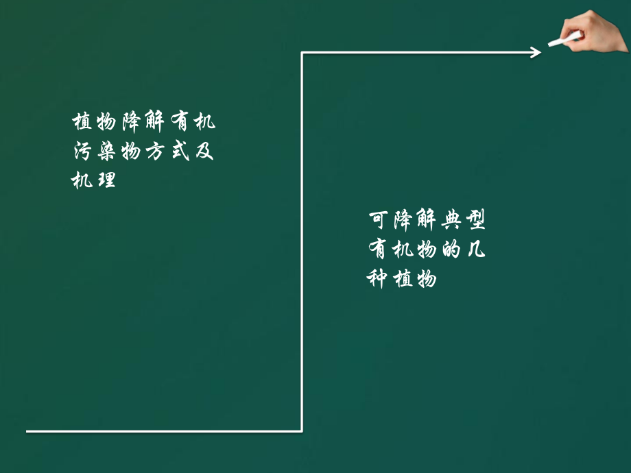 植物修复有机物污染土壤ppt课件.pptx_第2页