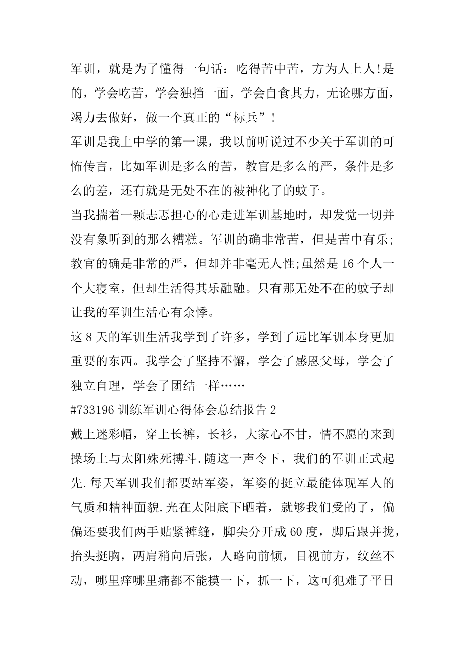 训练军训心得体会总结报告例文.docx_第2页