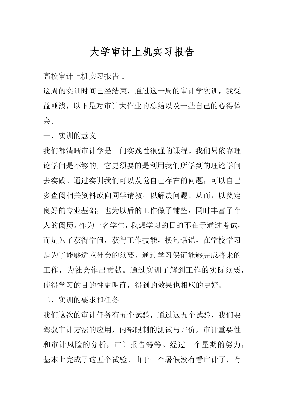 大学审计上机实习报告例文.docx_第1页