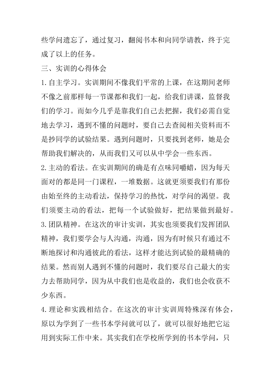 大学审计上机实习报告例文.docx_第2页