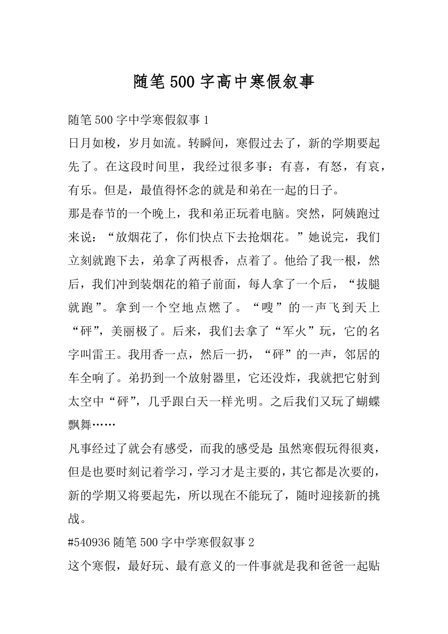 随笔500字高中寒假叙事汇总.docx_第1页