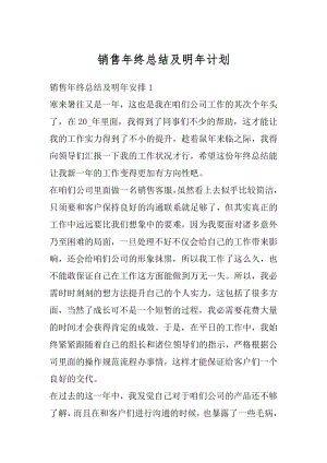 销售年终总结及明年计划精品.docx