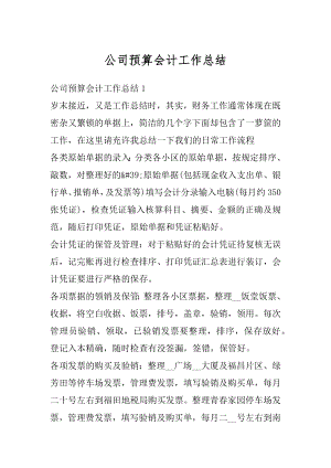 公司预算会计工作总结范文.docx