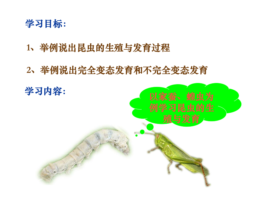 昆虫的生殖与发育课件.ppt_第2页