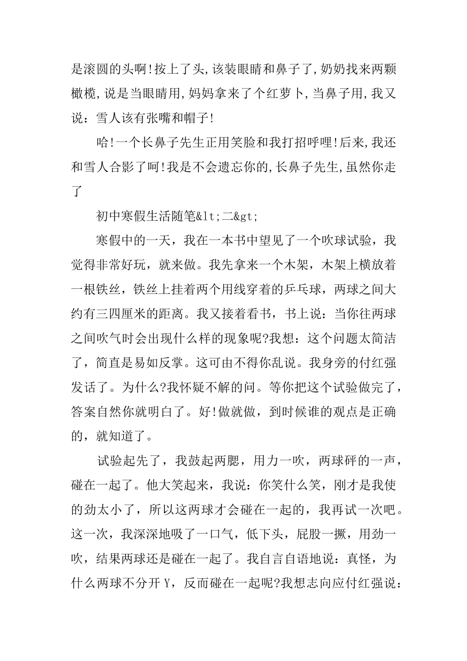 初中寒假生活随笔300字_最新初二寒假作文随笔大全汇编.docx_第2页