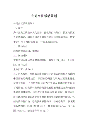 公司会议活动策划精编.docx