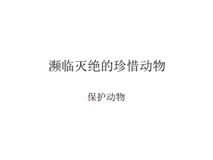 濒临灭绝的珍惜动物.ppt