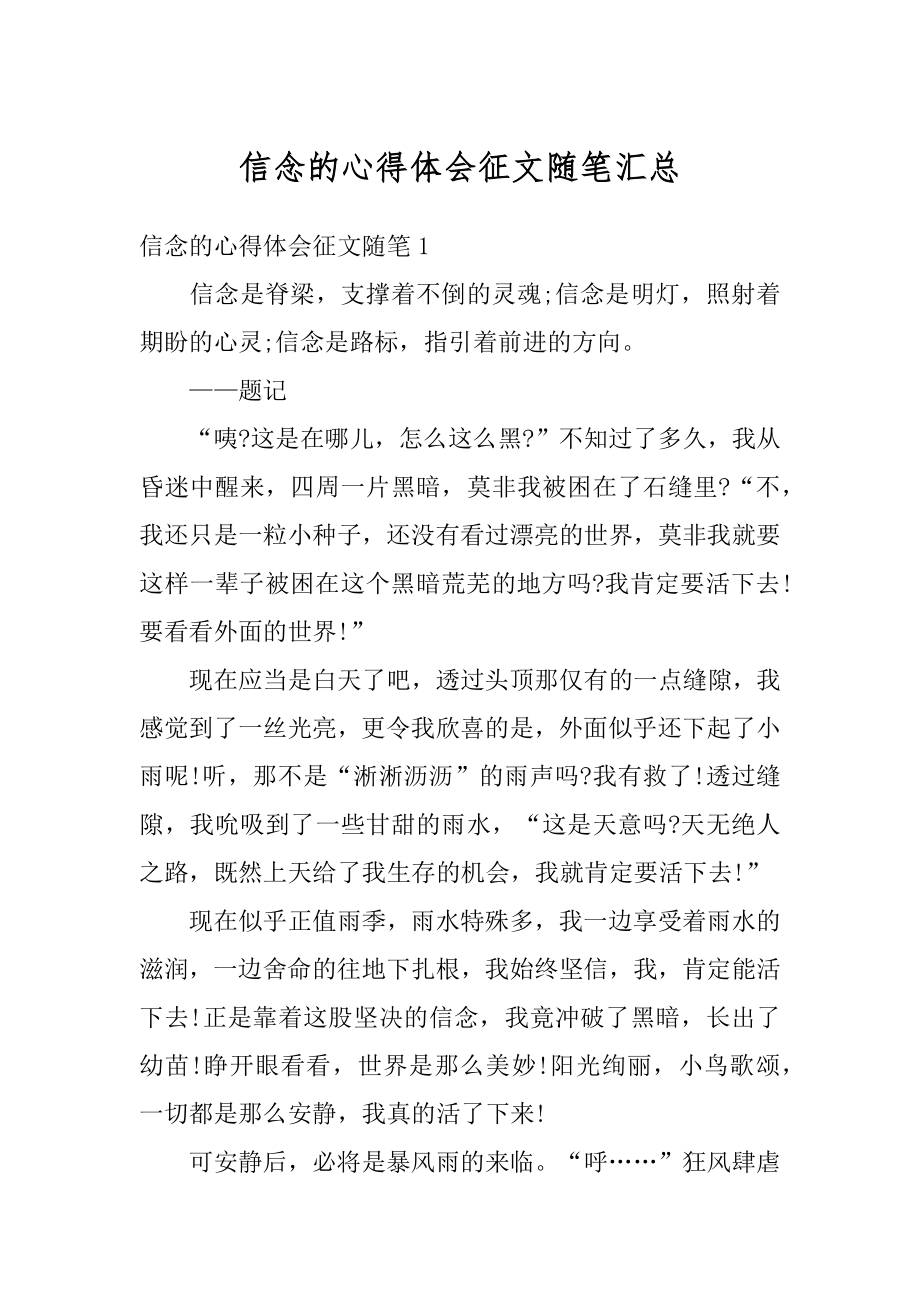 信念的心得体会征文随笔汇总范例.docx_第1页