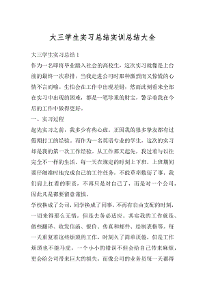 大三学生实习总结实训总结大全最新.docx