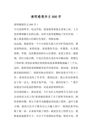 清明感想作文800字优质.docx