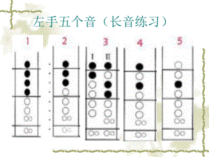 竖笛演奏技巧.ppt