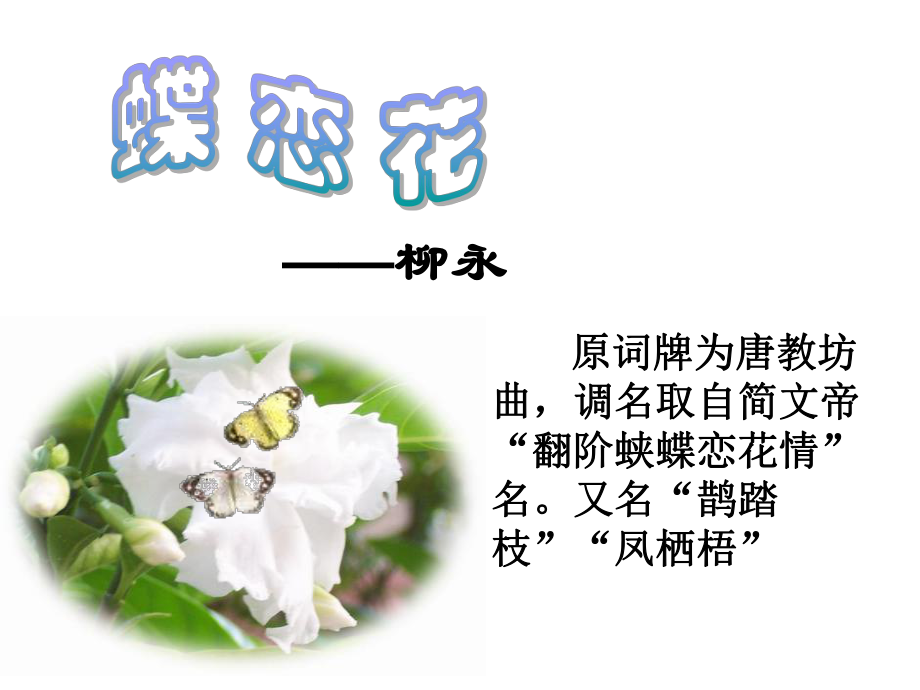 柳永蝶恋花.ppt_第1页