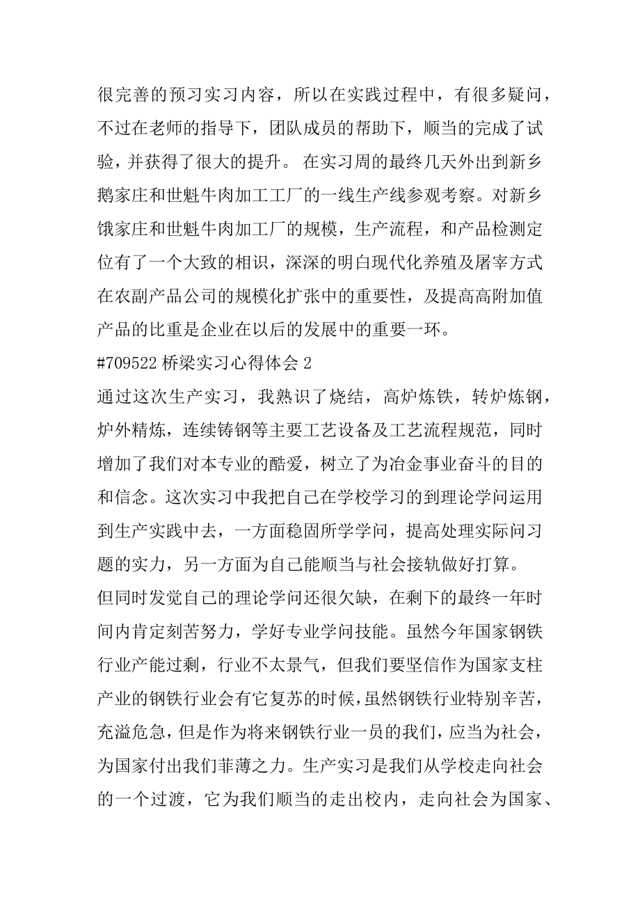 桥梁实习心得体会精品.docx_第2页