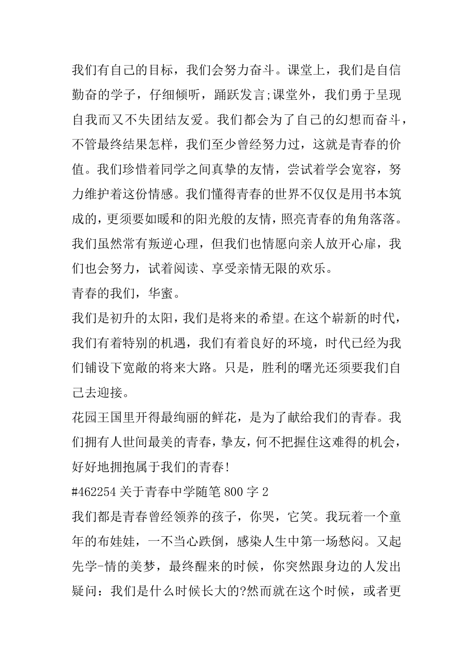 关于青春高中随笔800字汇总.docx_第2页