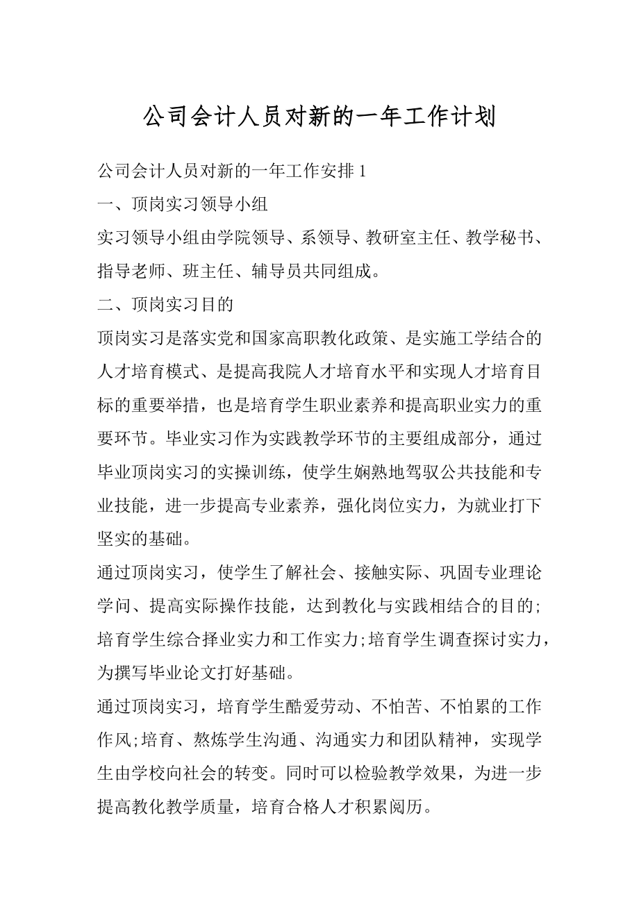 公司会计人员对新的一年工作计划范例.docx_第1页