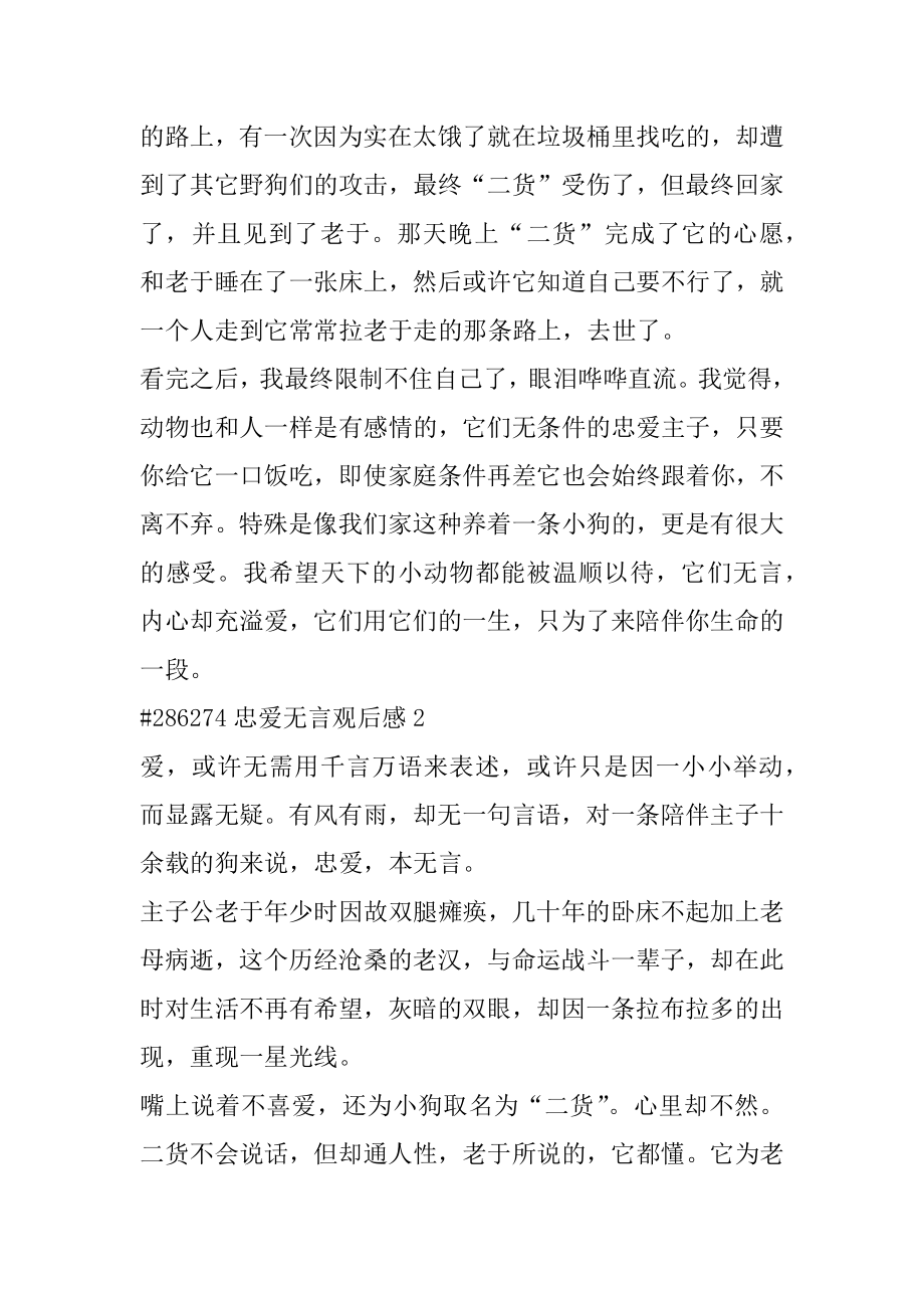 忠爱无言观后感大全范例.docx_第2页