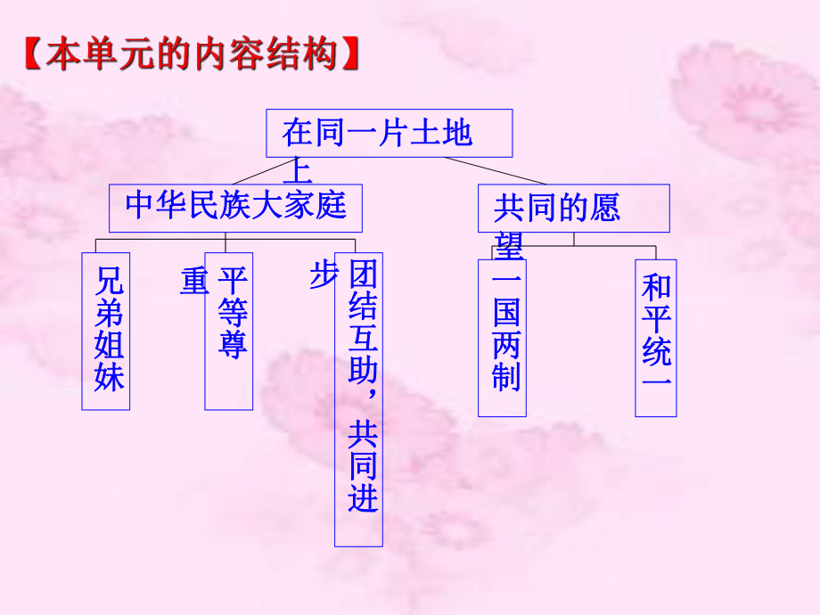 课件：中华民族大家庭.ppt_第2页