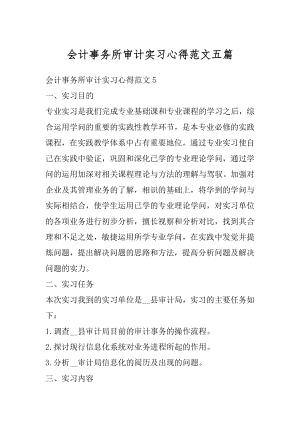 会计事务所审计实习心得范文五篇范文.docx