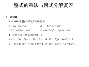 整式乘法与因式分解复习.ppt