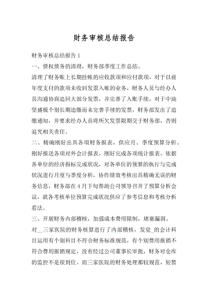 财务审核总结报告范本.docx